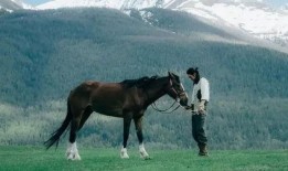 谁爆料八卦大驴的视频最新,视频爆料背后的惊人真相